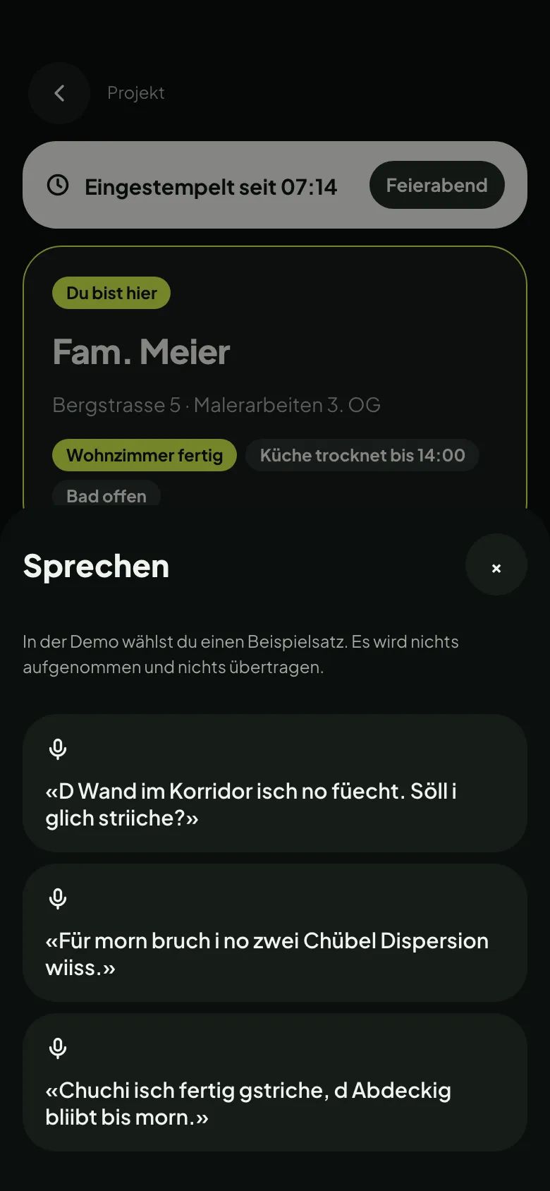 Spracheingabe in der App: Beispielsätze auf Schweizerdeutsch zum Auswählen