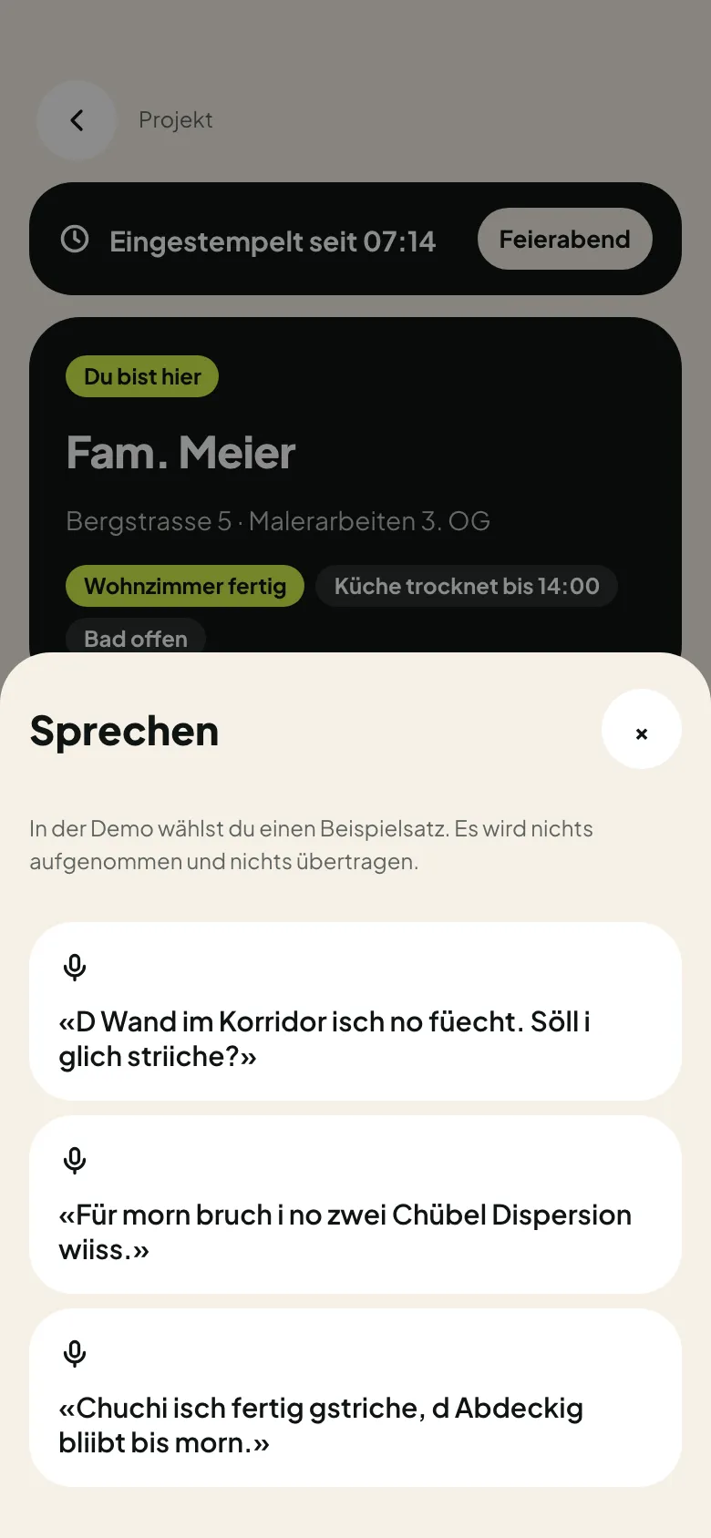 Spracheingabe in der App: Beispielsätze auf Schweizerdeutsch zum Auswählen